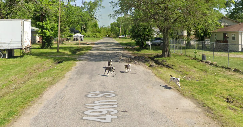 Man's fatal mauling follows years of problems with stray dogs in Washington Park Teri Maddox, Belleville News-Democrat