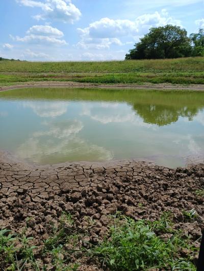 Drought conditions affecting Missouri farmers