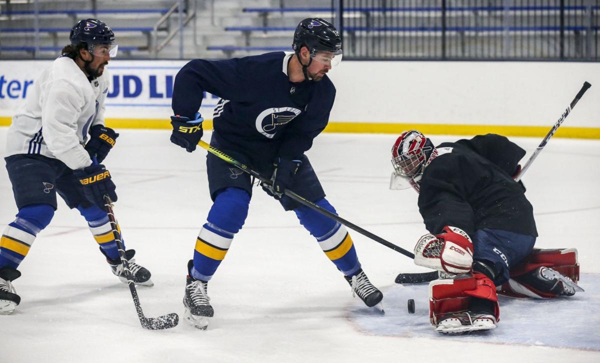 Fans Of Swedish Club Chip In To Help Sign Ex Blue Berglund St Louis Blues Stltoday Com