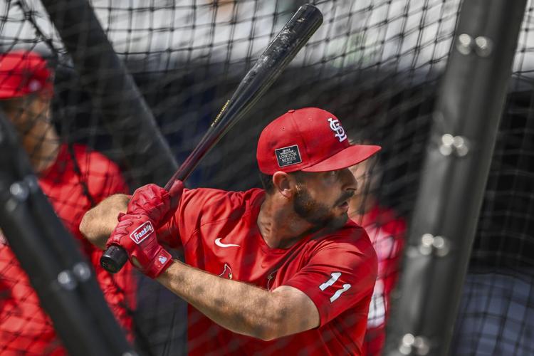 2019 Dexter Fowler Cardinals Signed Game-Used Jordan White Batting