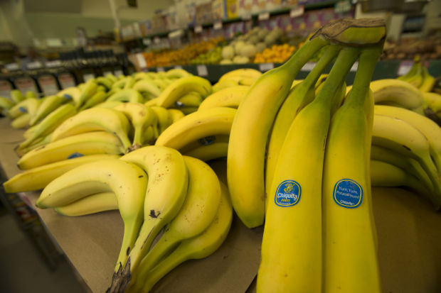 Chiquita Brands International, Inc., American Corporation, Fruit & Produce  Supplier