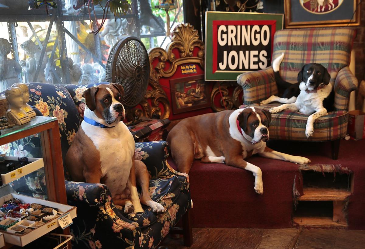 Gringo Jones Imports owner ready to sell building, retire to southern Illinois