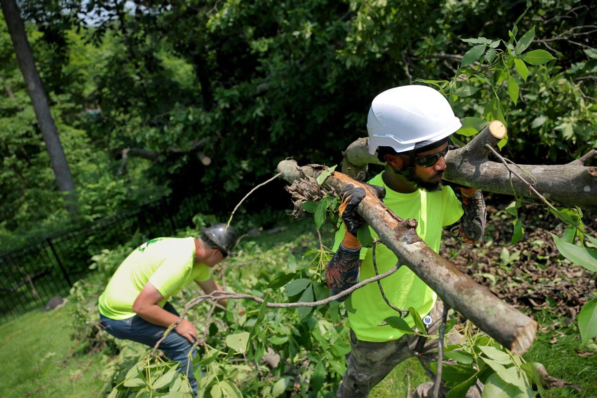 Tree companies busy after May storms