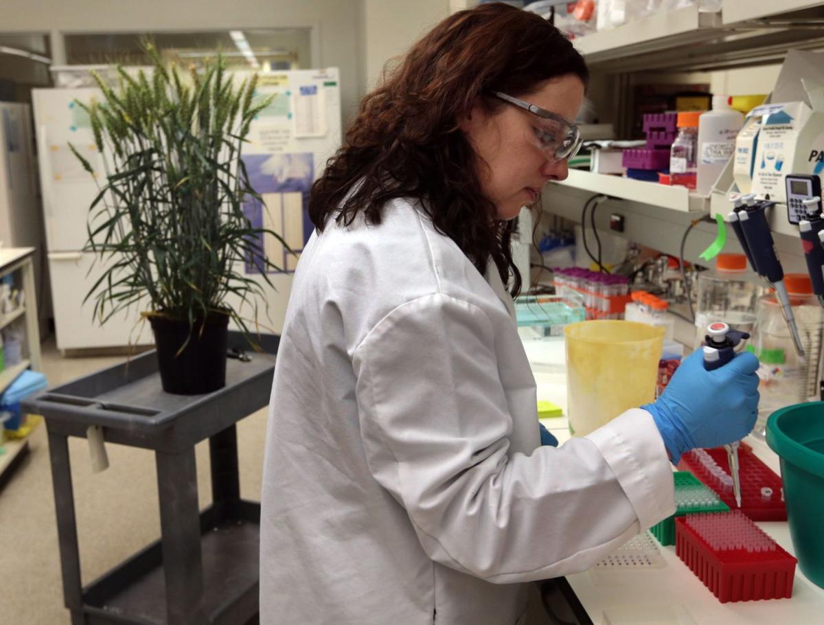 Monsanto's Chesterfield Village Research Center