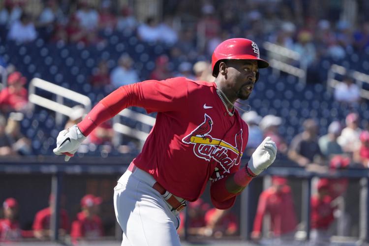 St. Louis Cardinals Nike Cooperstown Collection Team Shout Out