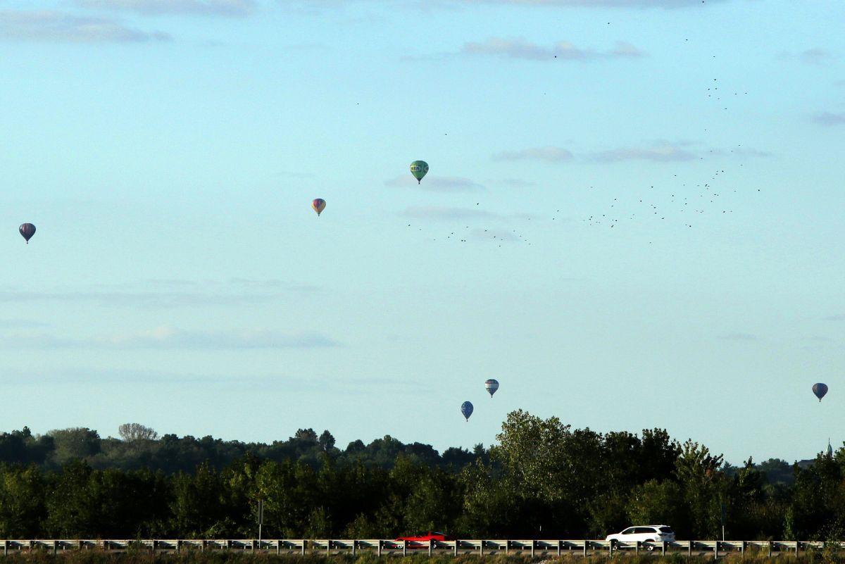 The Great Forest Park Balloon Race
