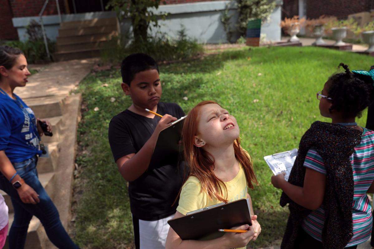 Reading, writing and radishes — Garden class grows in Maplewood