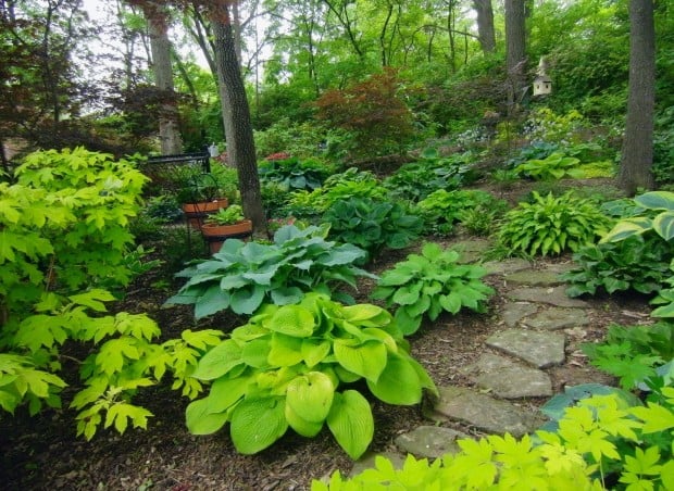 Meet our Great Garden contest winners