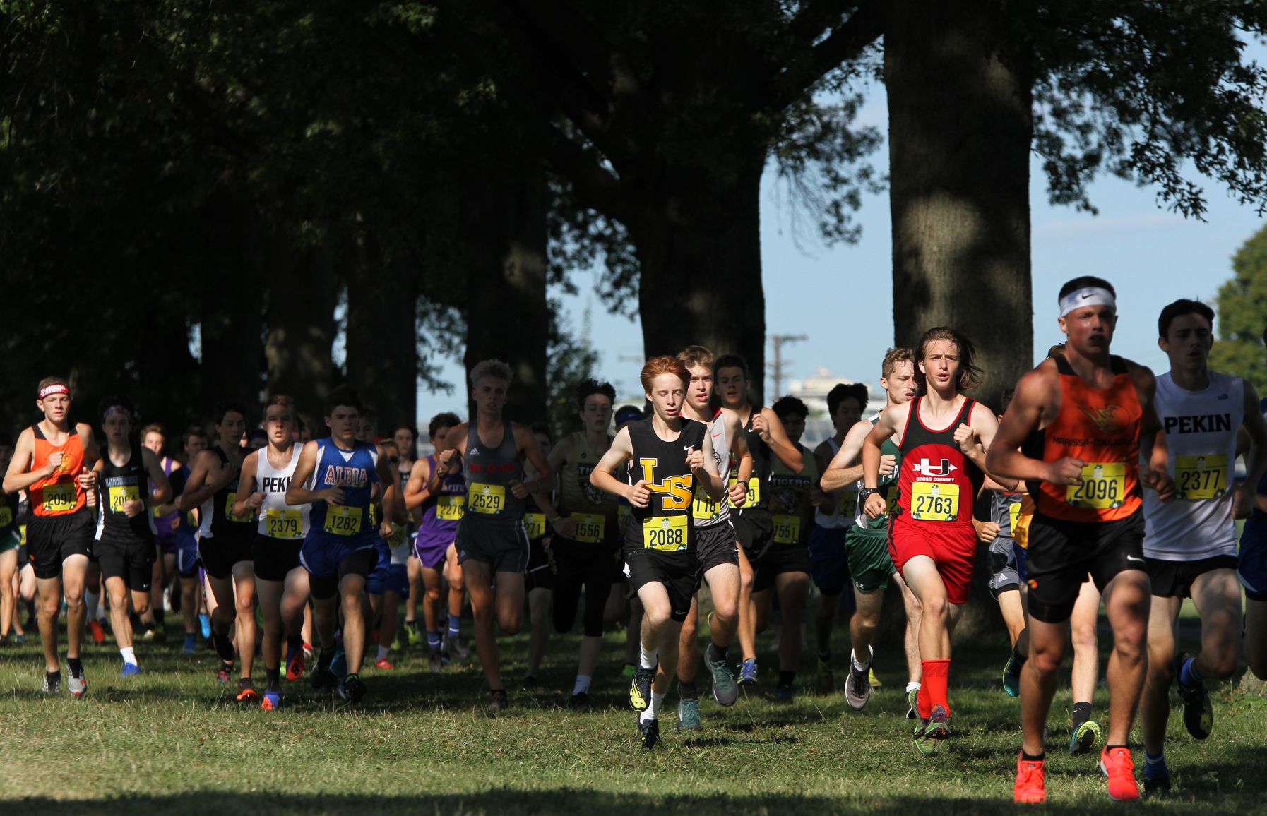 Fort Zumwalt North's Gleason wins first individual title; SLUH edged at