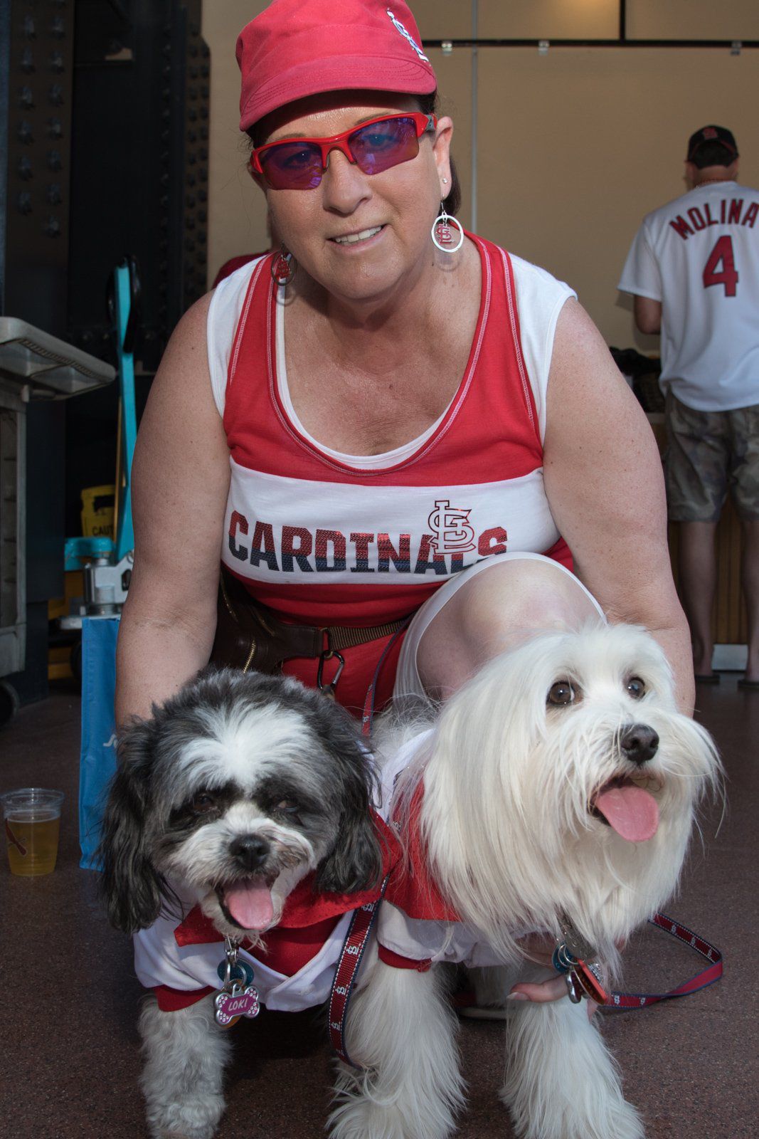 Purina Pooches in the Ballpark returns