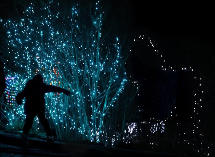 122021_cg_zoo_lights01_4_5_40134