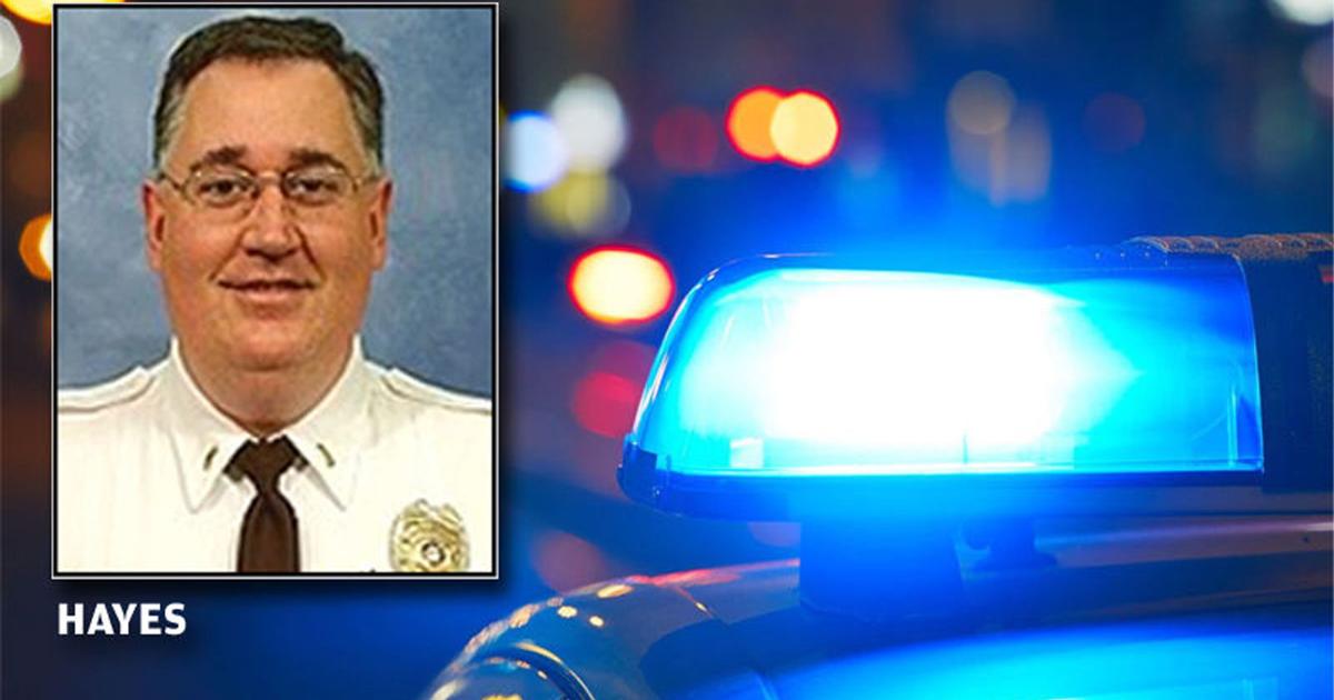 Officer Randy Hays Police board reinstates St. Louis County lieutenant fired over alleged ...