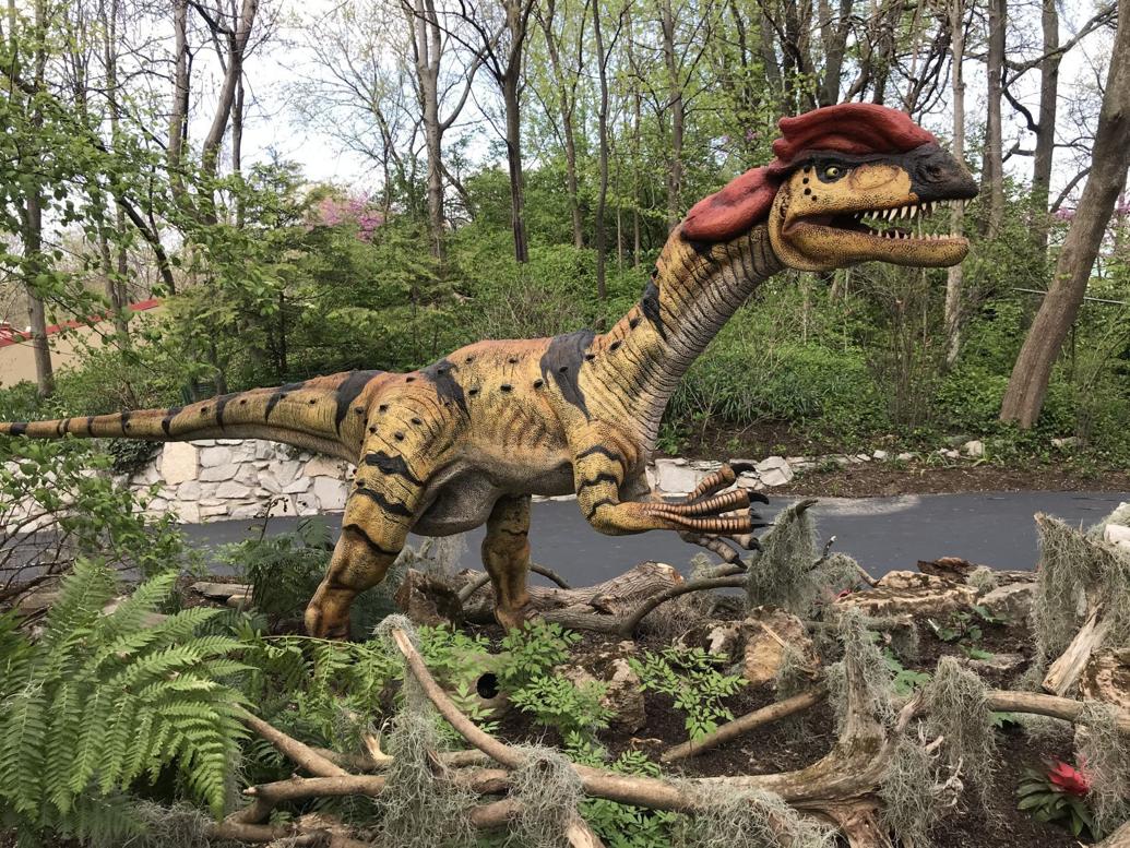 It's dinosaur season! Creatures growl and spit at St. Louis Zoo