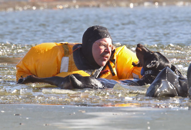 Fire Dept. Rescues dog from lake in O'Fallon Park