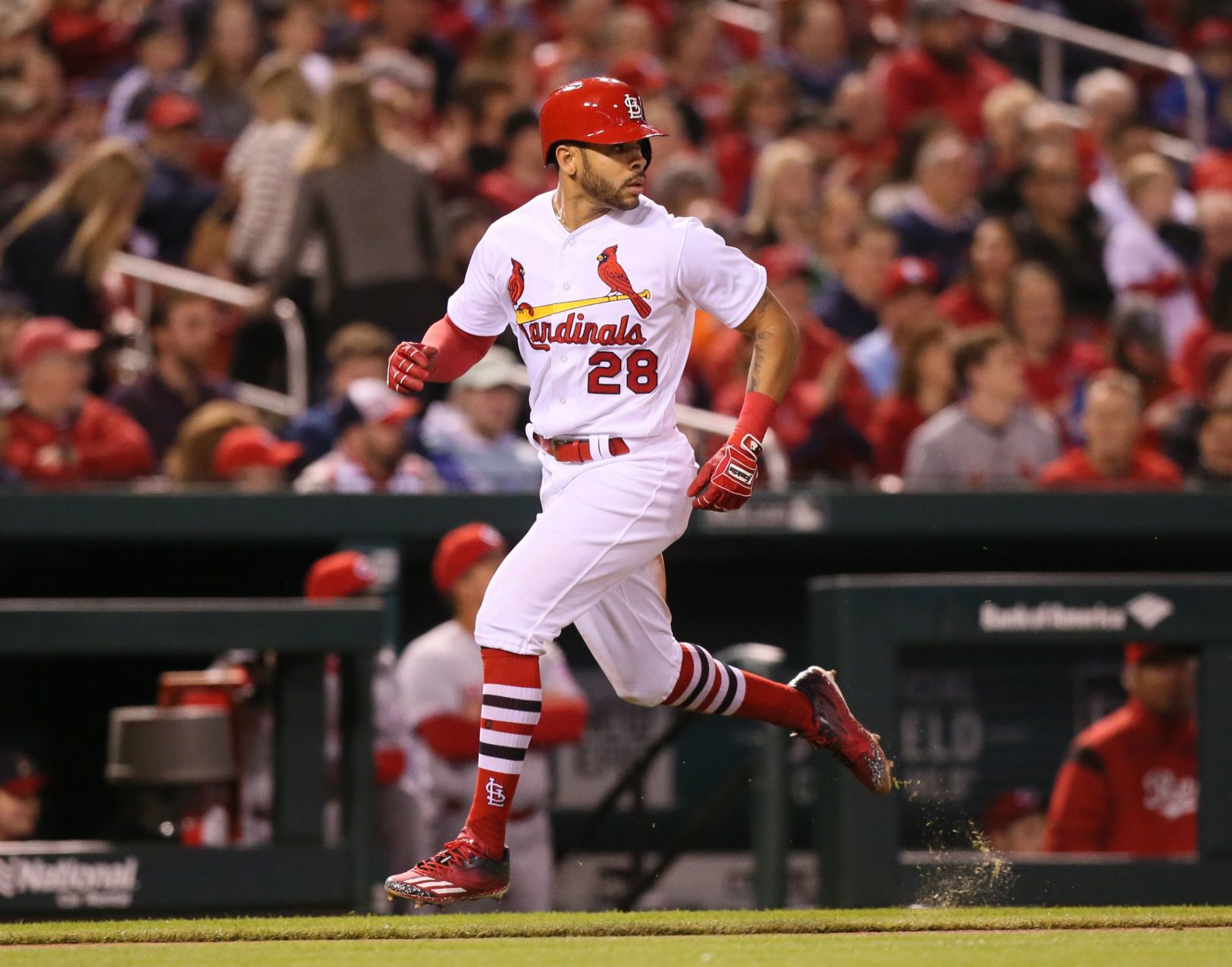 Photos: Cards Make It Five Straight Wins Over Reds