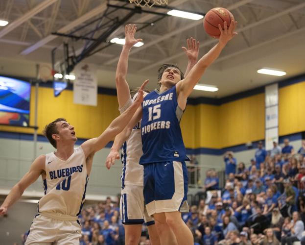 Duchesne beats Cole Camp, earns program's first trip to state semifinals