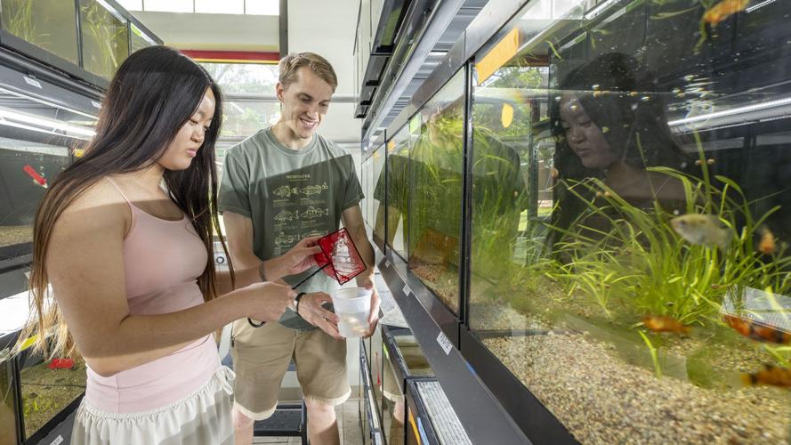 CLIMB program gives area high school students exposure to hands-on research work in UMSL labs
