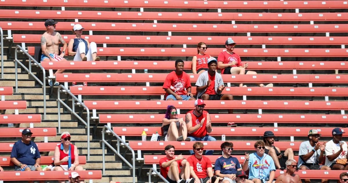 Image for article Gordo Cardinals pay a high price for abandoning their perennial playoff pursuit