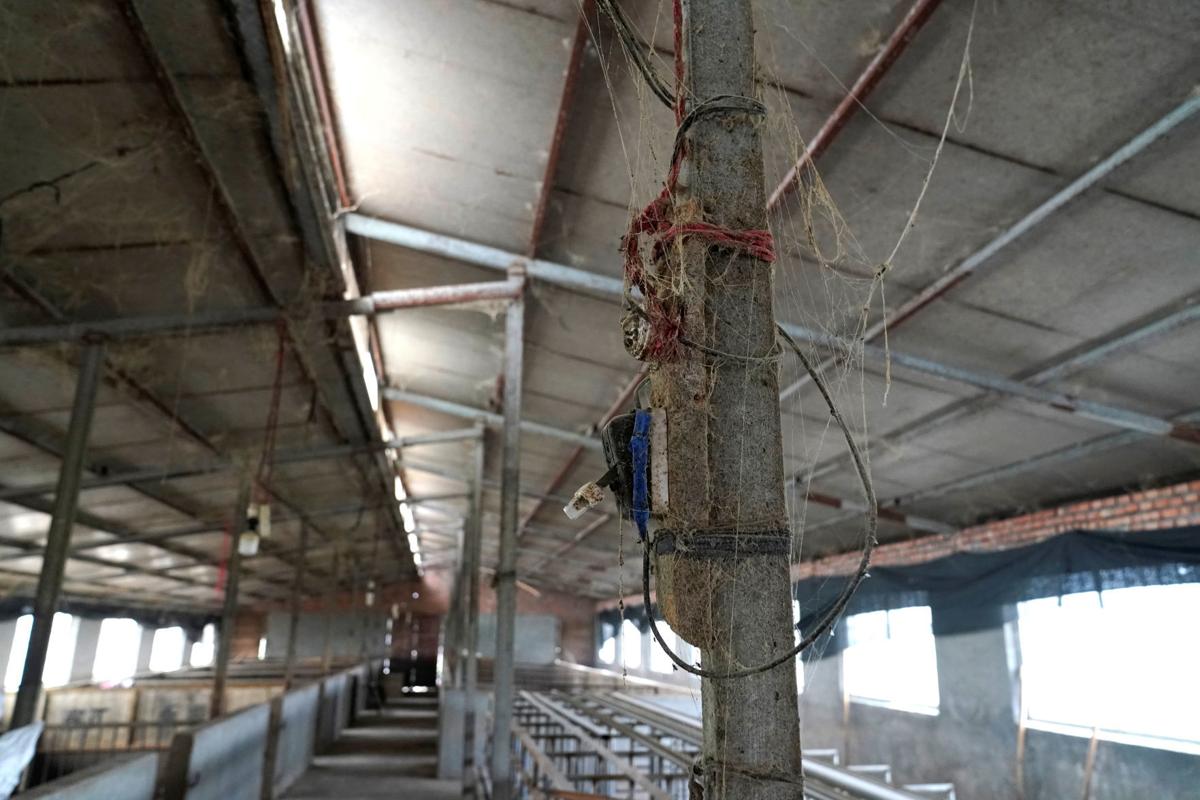 An inner view shows a pigpen at a village in Henan province