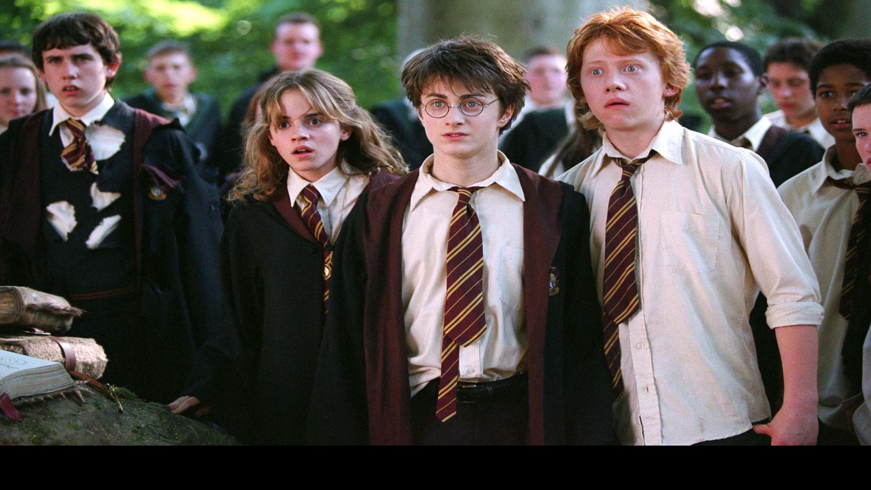 Should Harry And Hermione Have Ended Up Together In Harry Potter
