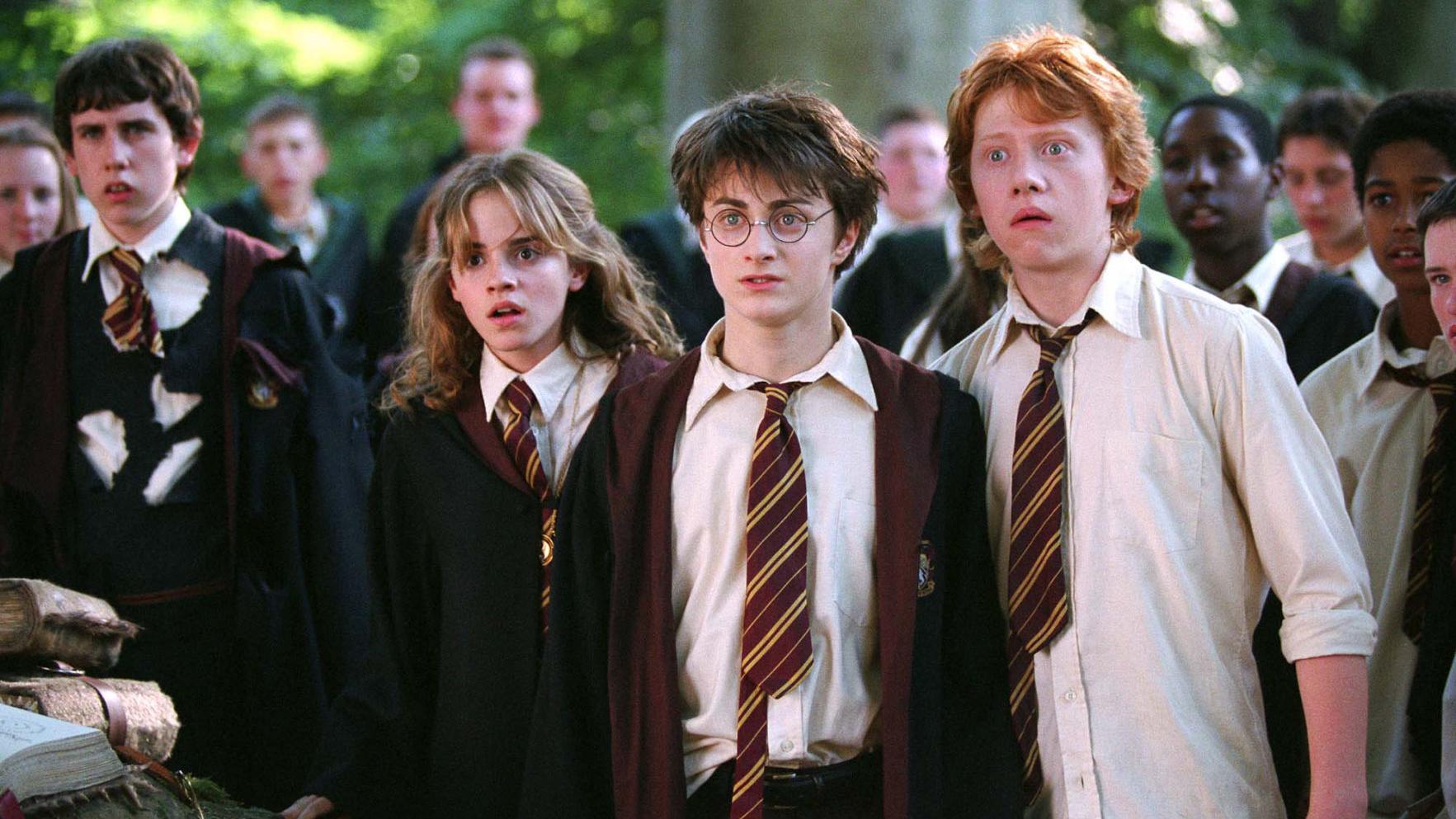 Should Harry And Hermione Have Ended Up Together In Harry Potter Rupert Grint Says What He Thinks Books Stltoday Com