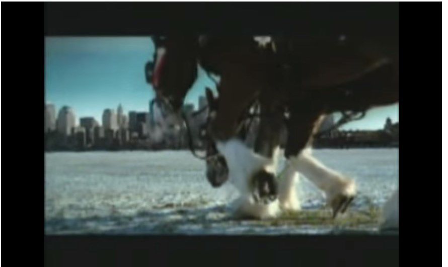 Super Bowl 2018: Budweiser's Clydesdales get special online ad