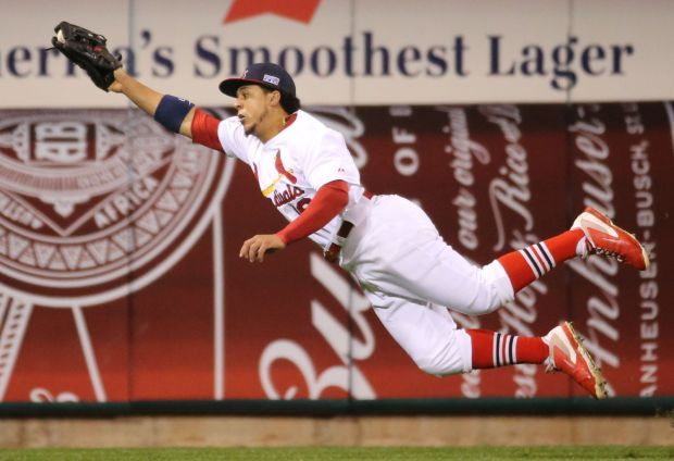 Jon jay and Allen Craig  Cardinals spring training, Stl cardinals