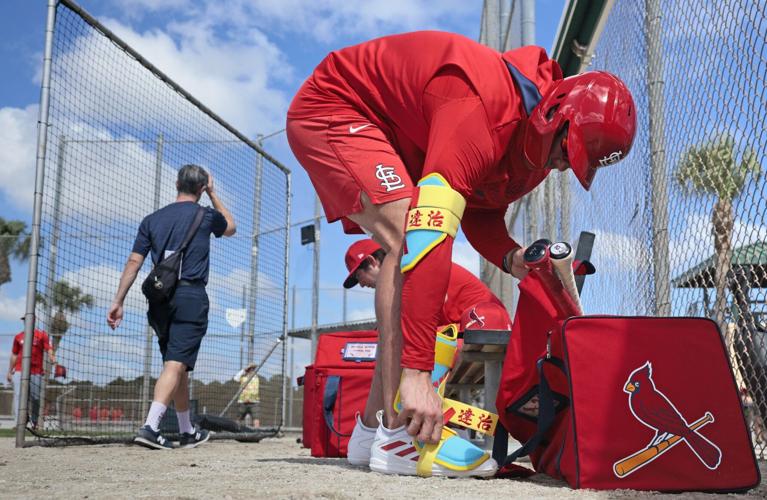 Cardinals continue spring training in Jupiter