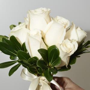 024_Walter Knoll Florist