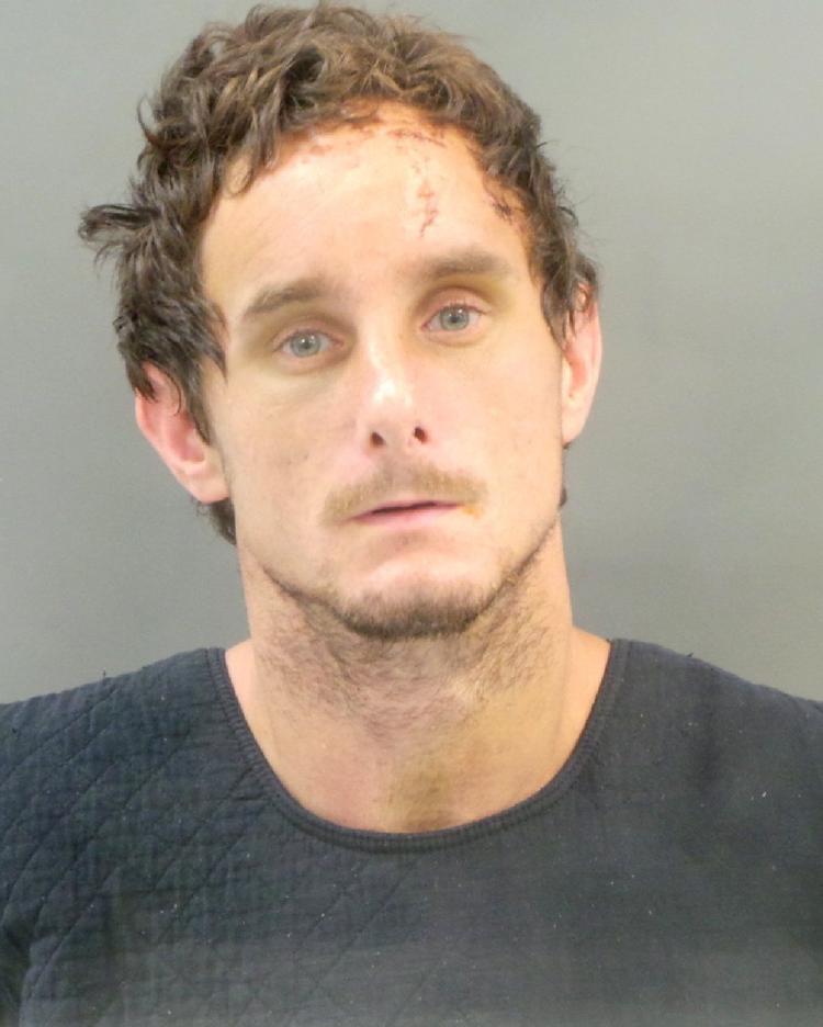 'Howling' man who bit, scuffled with St. Louis police is charged with