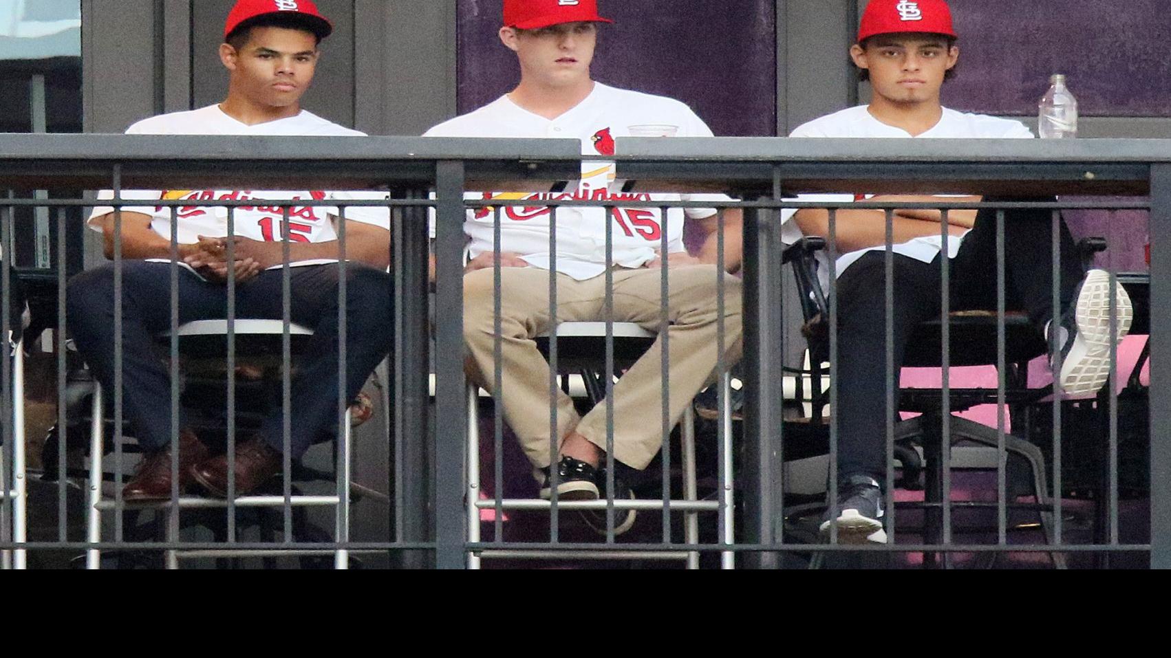 How Much Does A Baseball Card Weigh - Baseball Poster