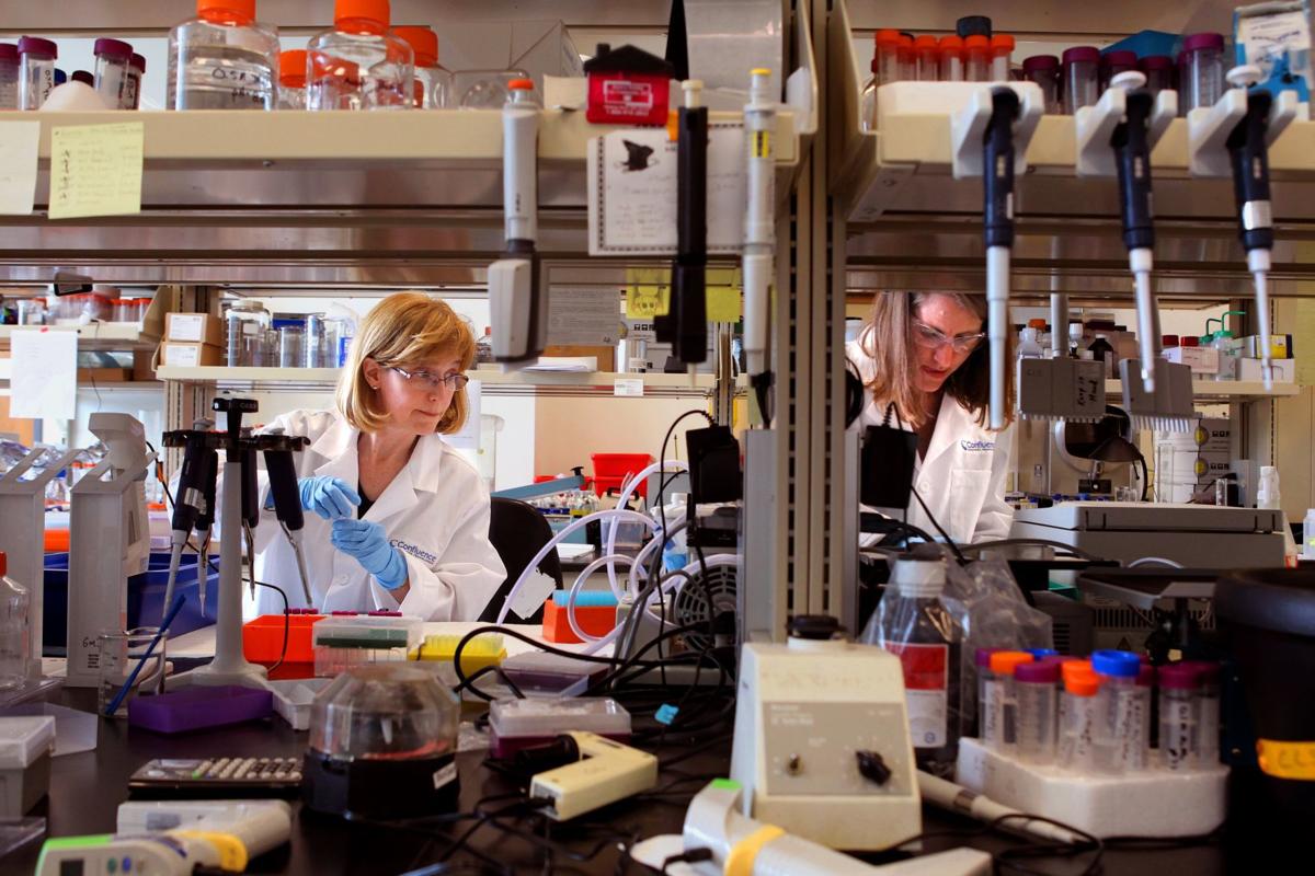 Confluence Discovery Technologies reaps success