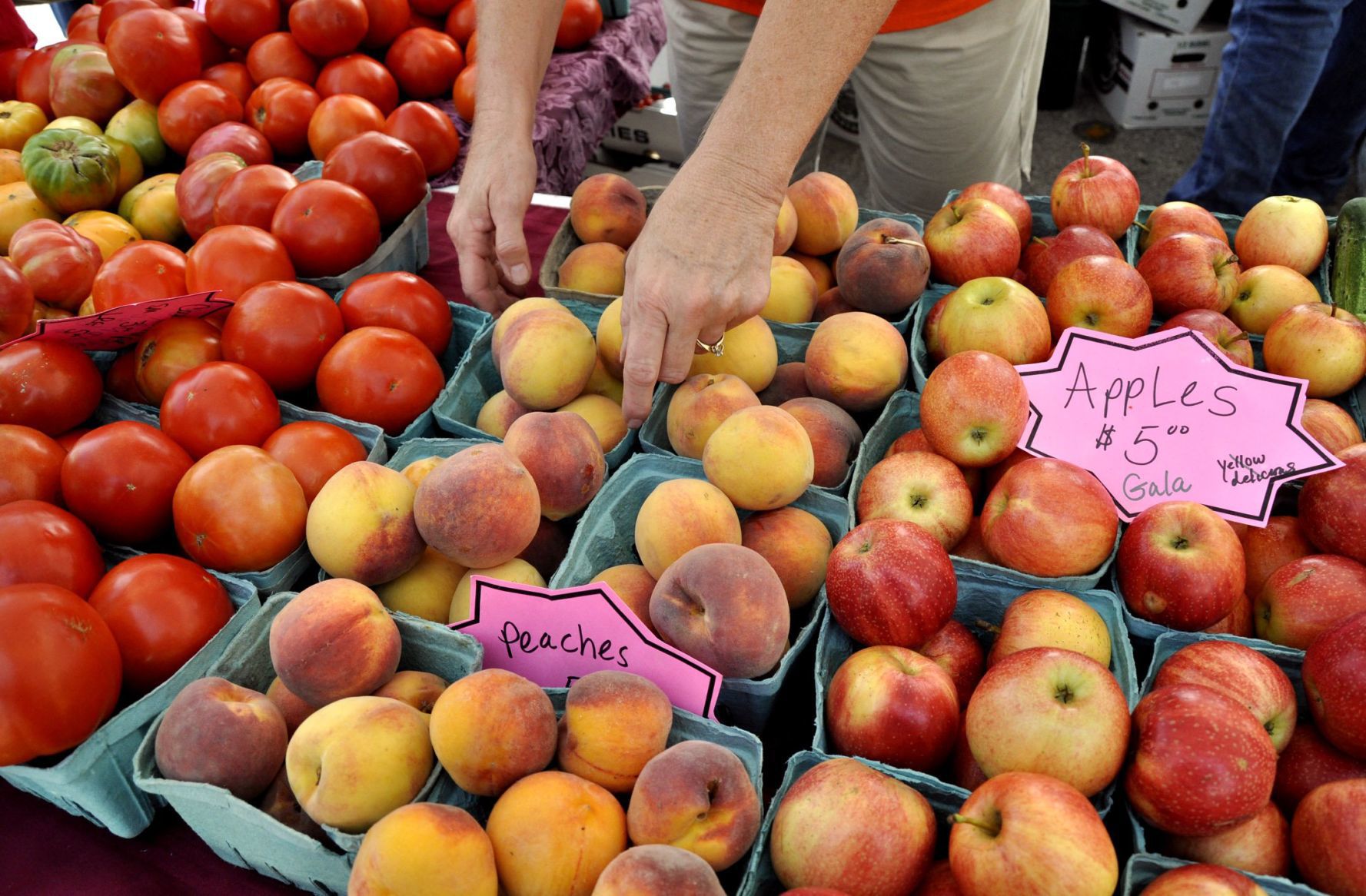 Farmersmarket Forest Grove Oregon