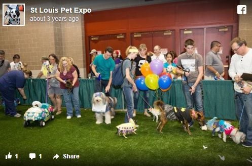 Organizers of canceled pet expo in St. Charles blame worker — who