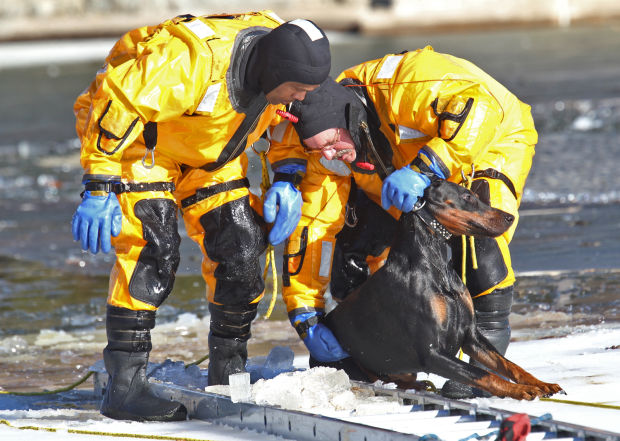 Fire Dept. Rescues dog from lake in O'Fallon Park