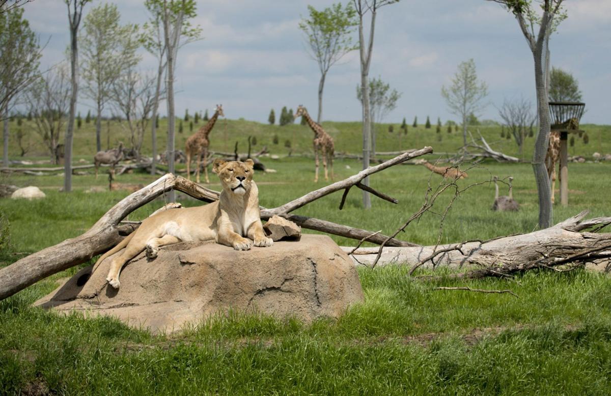Columbus Zoo Jack Hanna's legacy is clear Travel