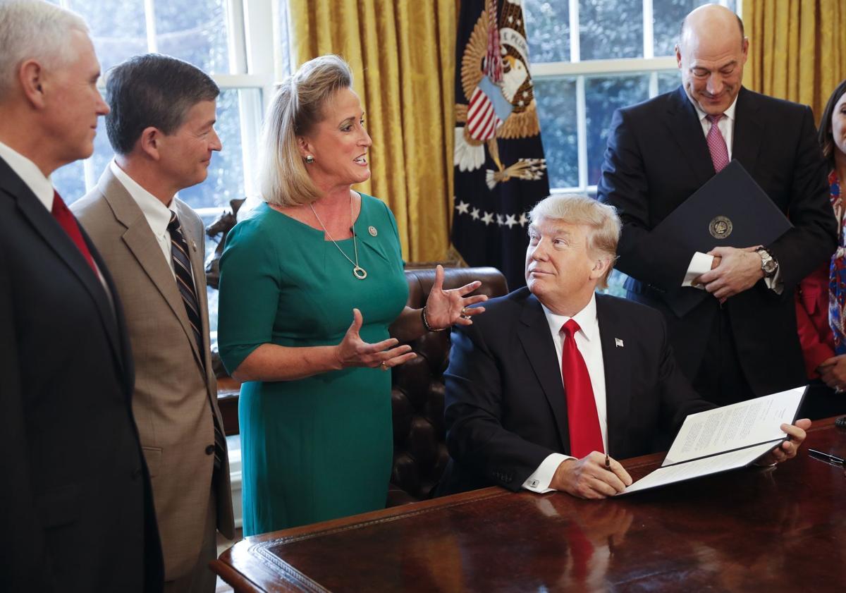 Trump and Ann Wagner