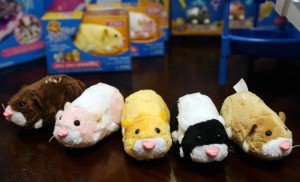 Zhu zhu shop pets old