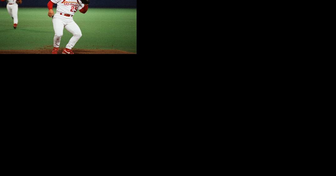 Photo Ozzie Smith St. Louis Cardinals Fielding Ground Ball Vintage 1980s