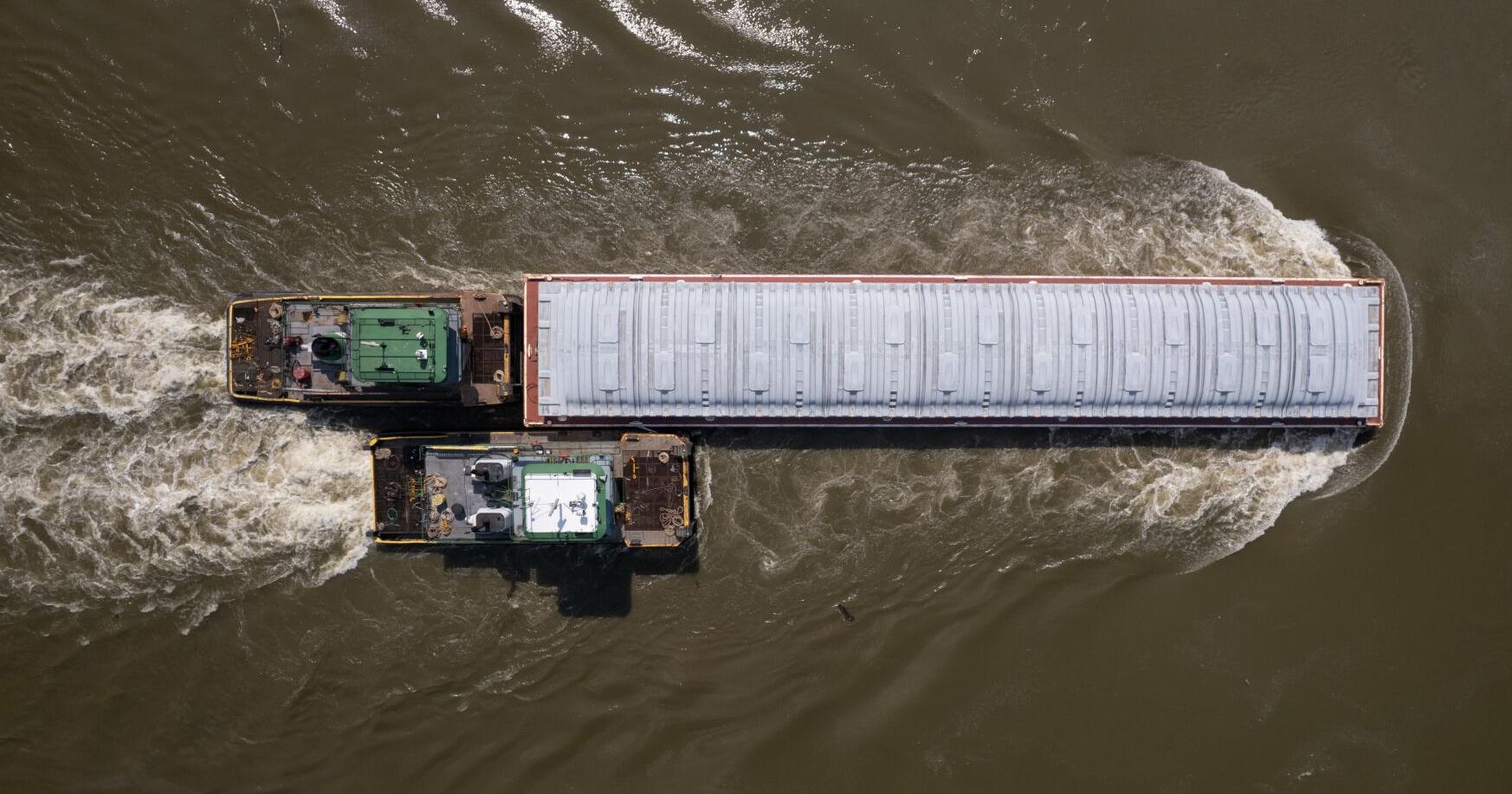 Chemicals from Missouri lawns, farms add to Gulf of Mexico 'dead zone' where little but algae grows - Vimarsana News