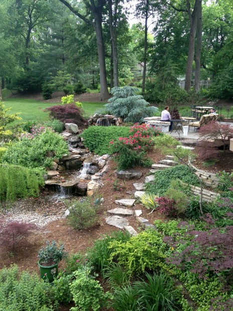 Meet our Great Garden contest winners | Home & Garden | stltoday.com