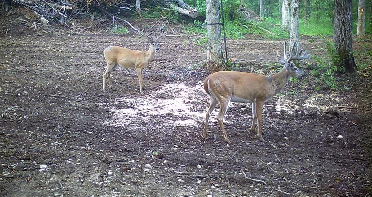 Dryden Creek Preserve hunting community