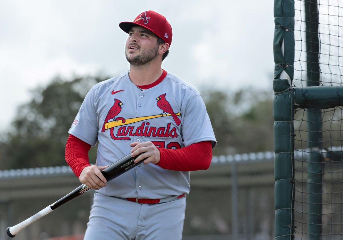 Cardinals continue spring training in Jupiter