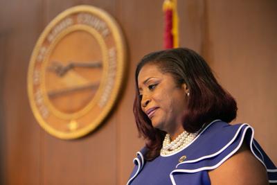 St. Louis County Council meeting