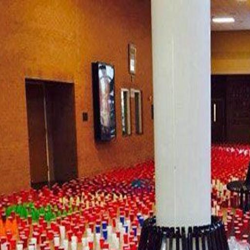 Senior Pranks All In Good Fun Until 35 Year Old Trees Are Destroyed Education Stltoday Com