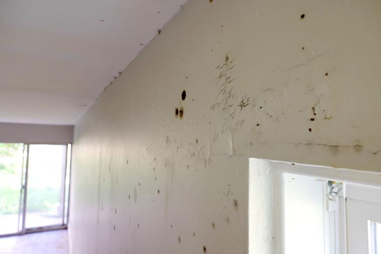Out of town developer lets �����Ӱ�ԭ�� apartments fall into disrepair