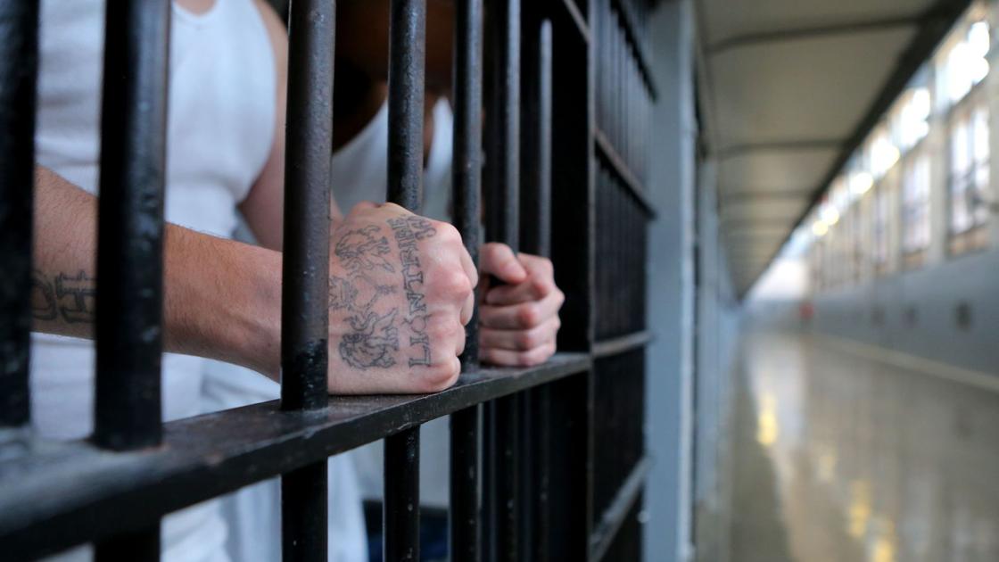 Some cells in Illinois prison are so small it's 'inhumane' to house 2 inmates in them, judge says | Law and order | stltoday.com