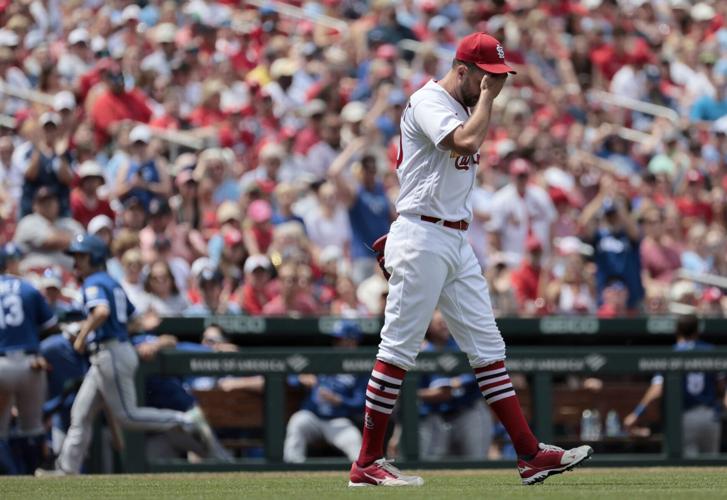 St. Louis Cardinals on X: Hangin' out(field). 🤙