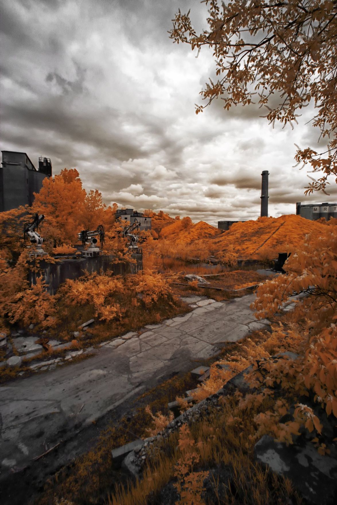 Family plans to finish what Cementland creator started Metro