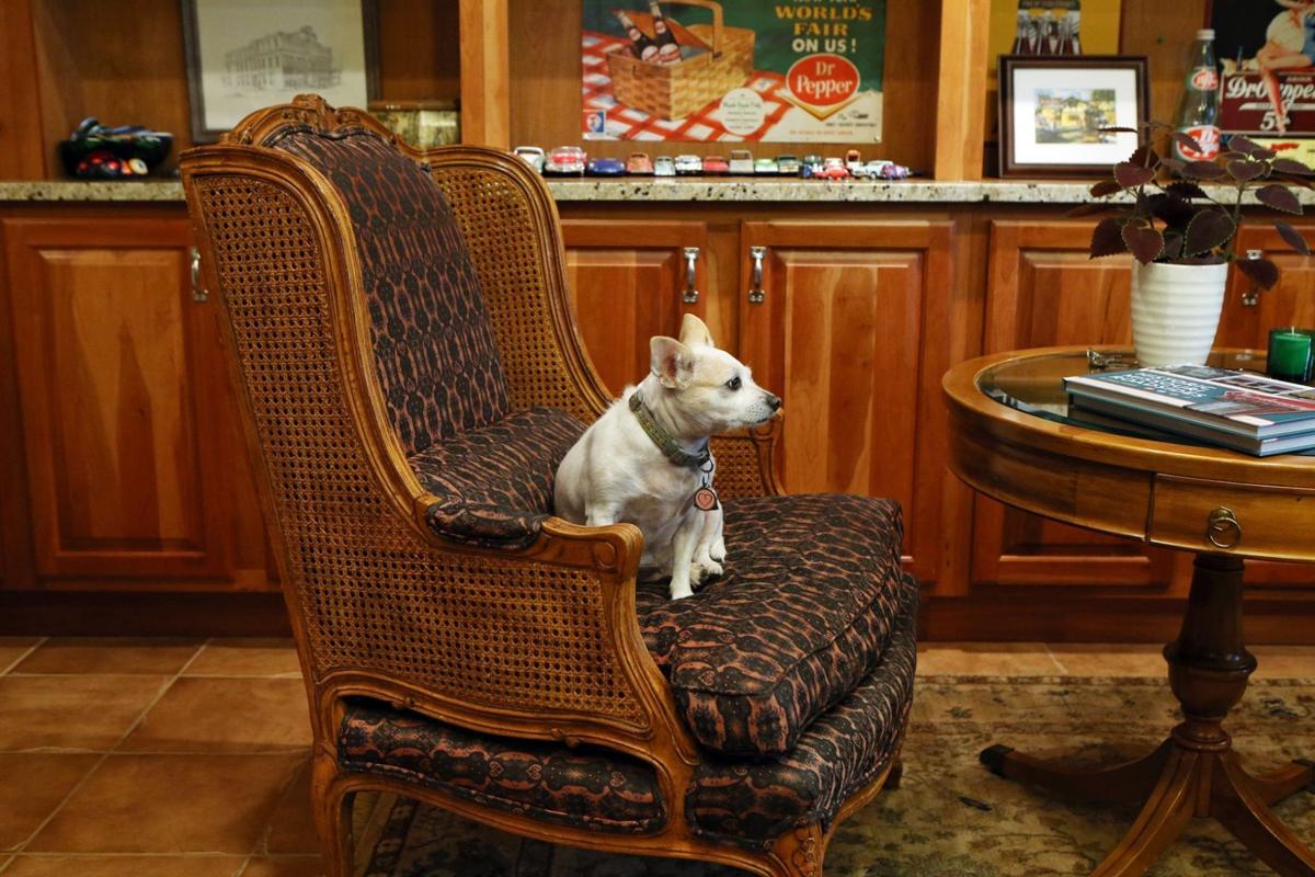 This former crack house a Benton Park beauty Home and Garden